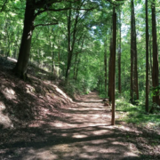 Entdecken Sie die Walk and Talk-Therapie 1 Ein Symbolbild für die Walk and Talk Therapie, die Gesprächstherapie und Bewegung verbindet