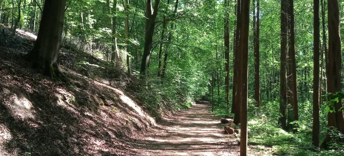 Ein Symbolbild für die Walk and Talk Therapie, die Gesprächstherapie und Bewegung verbindet